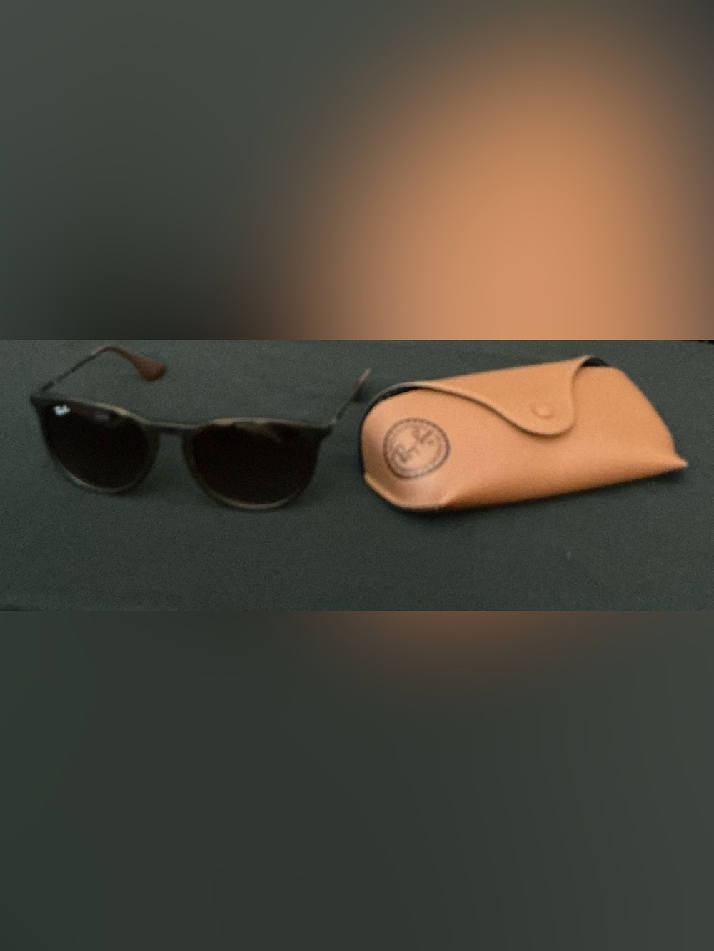 Ray-Ban Black Frame Sunglasses with Brown Case